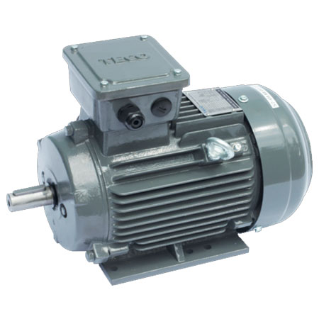 Động cơ điện motor TECO AESV1S-150(TECO150)